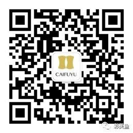 南通彩芙魚紙業(yè)有限公司