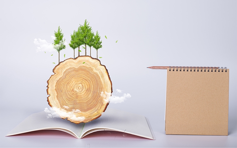 關(guān)于紙的知識(shí)，你平時(shí)知多少